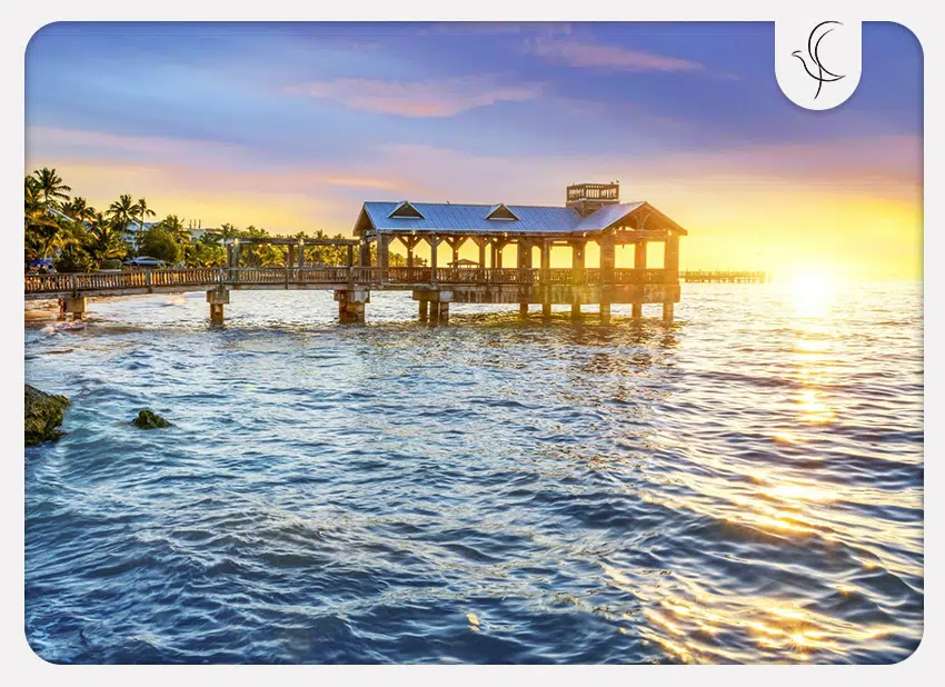 ویزای توریستی در آمریکا