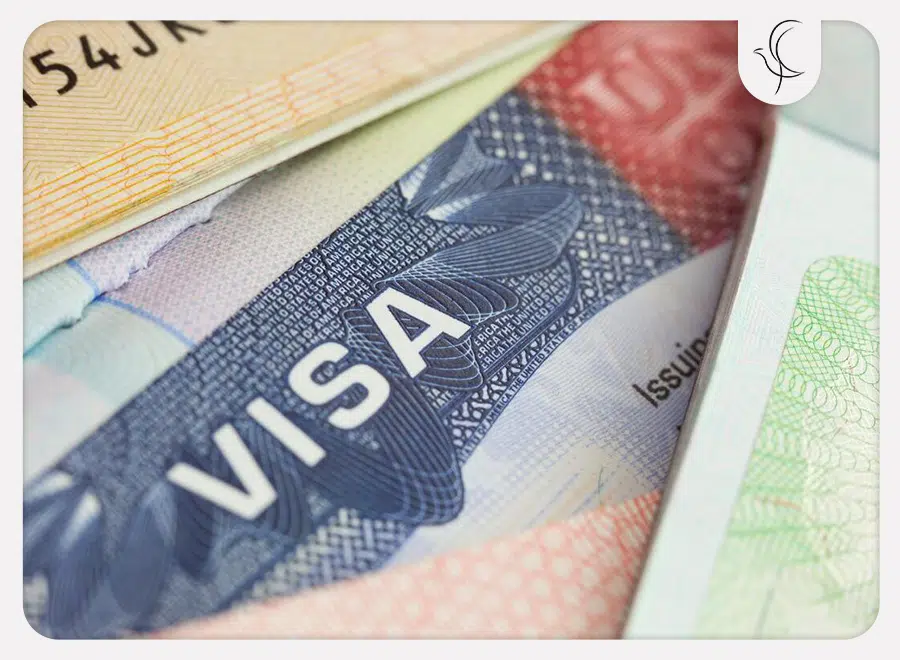 نحوه توزیع کیس نامبرها