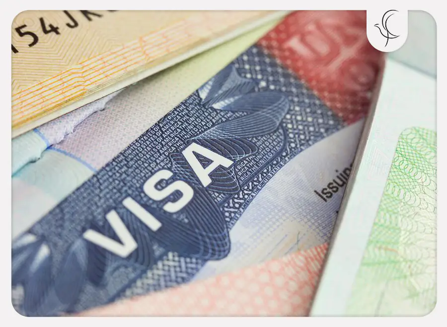 نحوه توزیع کیس نامبرها نحوه توزیع کیس نامبرها