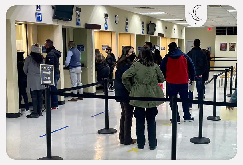 دلایل رد شدن در مصاحبه لاتاری دلایل رد شدن در مصاحبه لاتاری